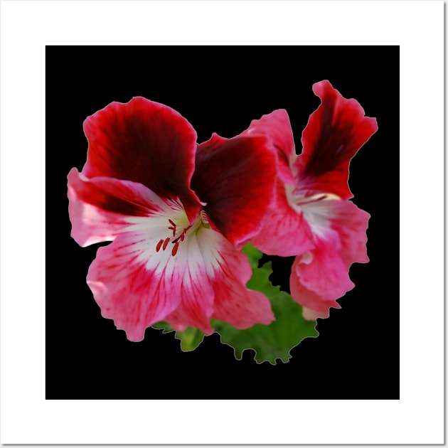 Flower design. Geranium (Pelargonium) Wall Art by etihi111@gmail.com